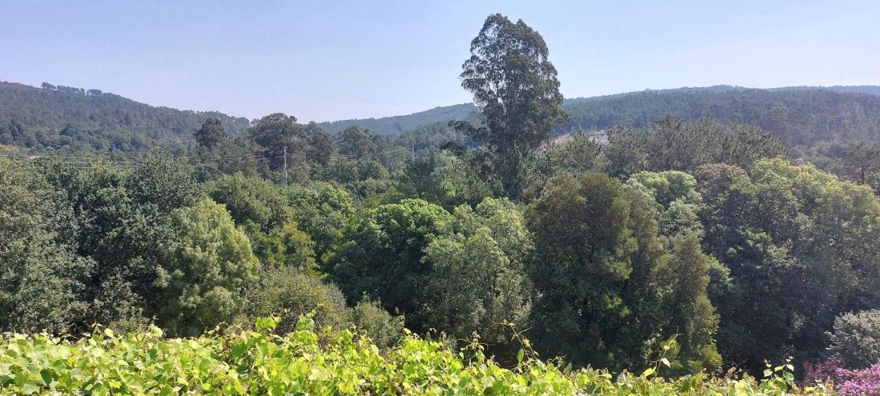 Green Paradise Glamping Covas  エクステリア 写真